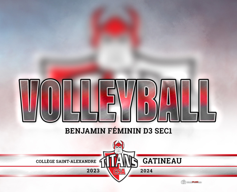 Volleyball - Benjamin Féminin D3 Sec1